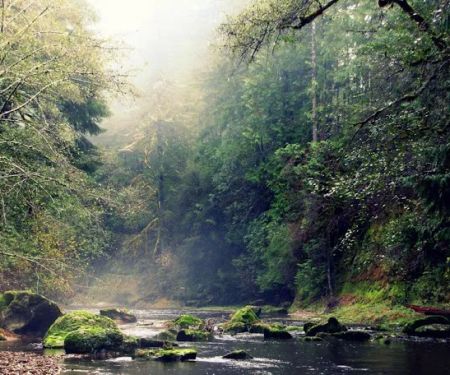 Johnson's Landing and Campground