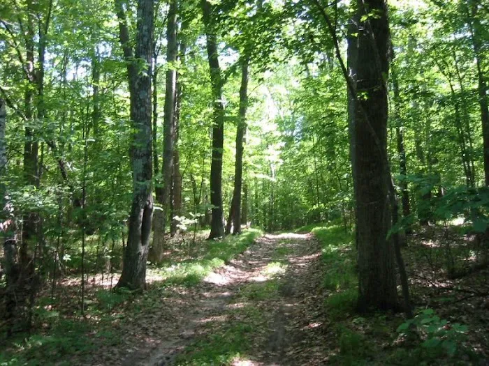 Johnson's Landing and Campground Picture 3