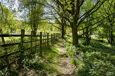 Johnson's Landing and Campground Picture 5
