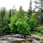 Big Falls Campground & Horse Camp