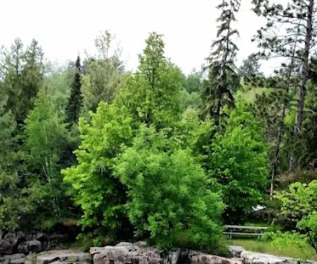 Big Falls Campground & Horse Camp