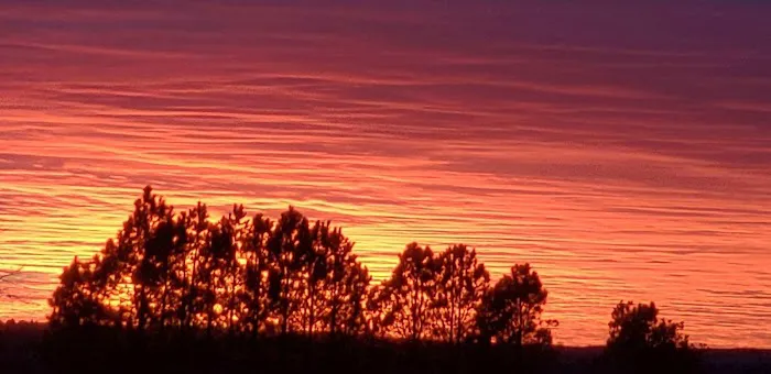 Big Red Resort Picture 4