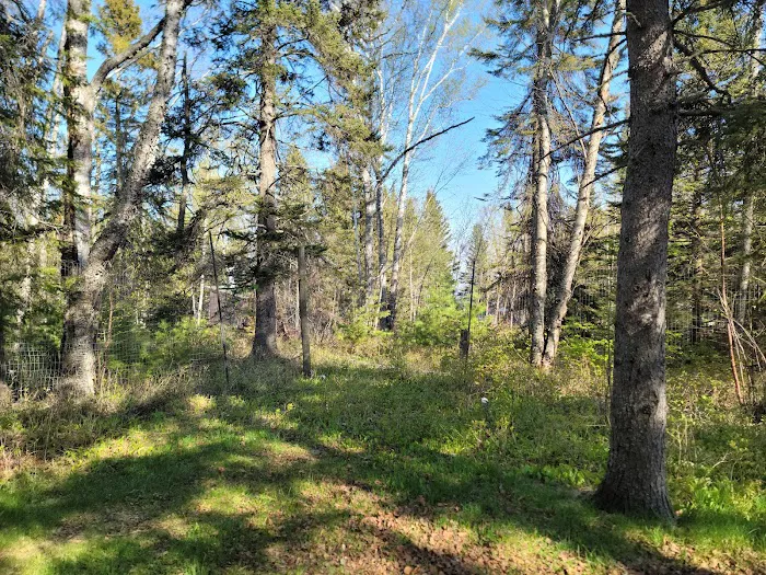 Temperance River Upper Campground Picture 6