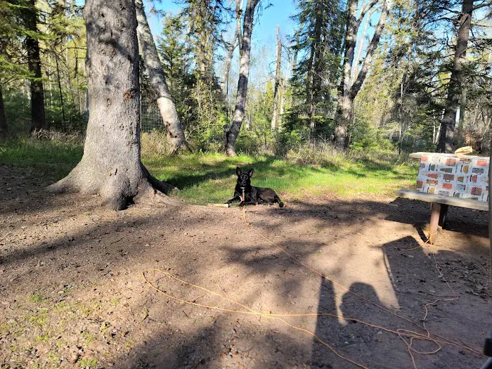 Temperance River Upper Campground Picture 3