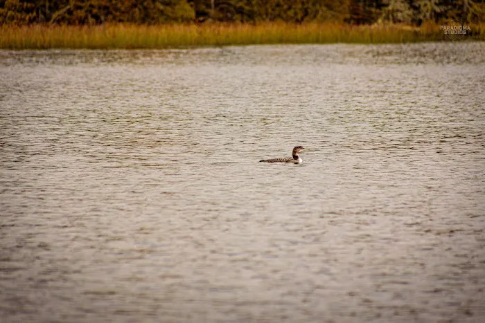 Clara Lake Rustic Campground Picture 3