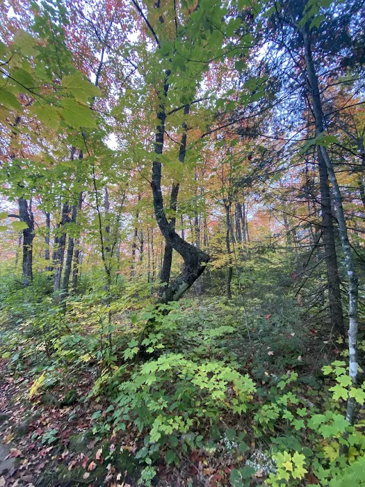 East Rollins Creek Camp Picture 5