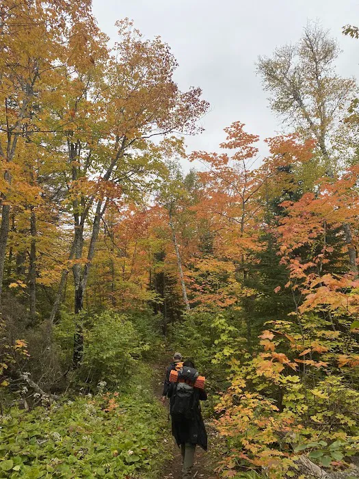 East Rollins Creek Camp Picture 6