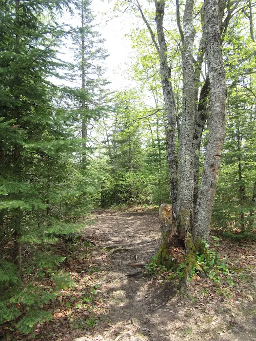 East Rollins Creek Camp Picture 8