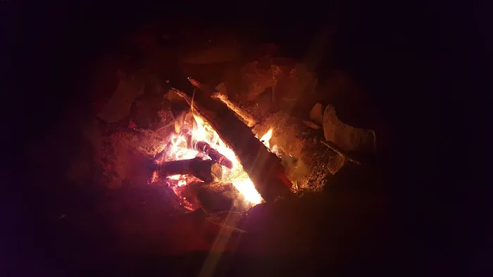 Cook County Picture 12