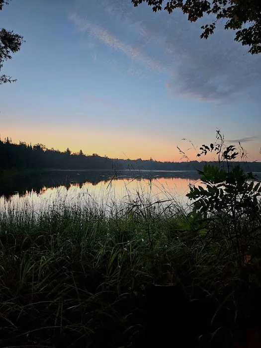 Cook County Picture 14