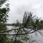 Lutsen Watercraft Campsite