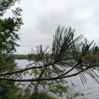Lutsen Watercraft Campsite ico