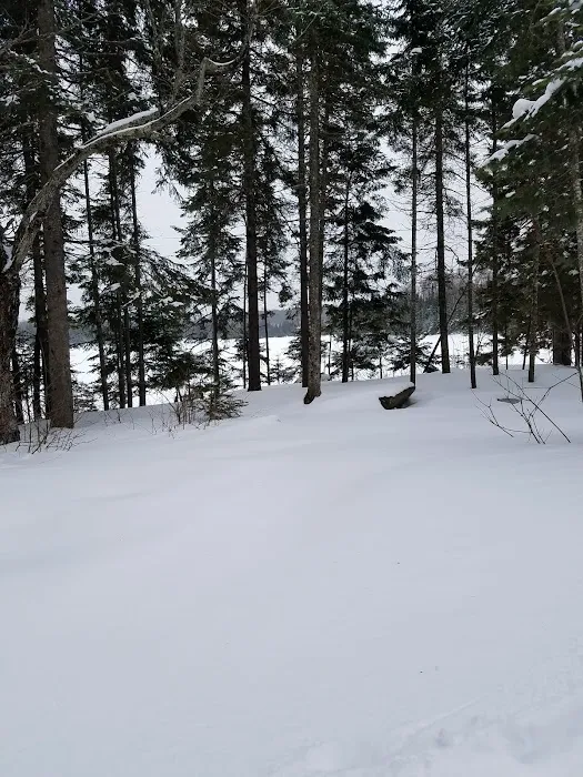 East Lake Agnes Camp Picture 1