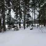 East Lake Agnes Camp