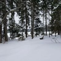 East Lake Agnes Camp ico