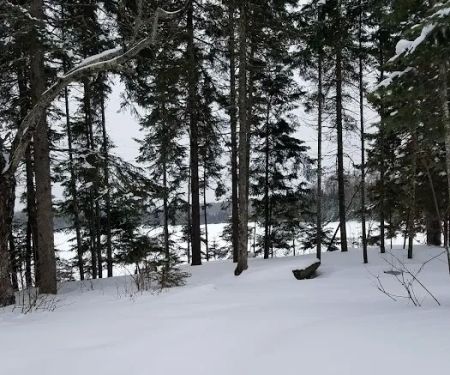 East Lake Agnes Camp