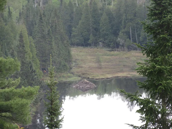 East Lake Agnes Camp Picture 10