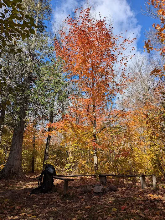 Jonvick Creek Camp Picture 1