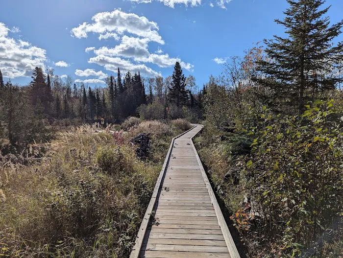 Jonvick Creek Camp Picture 5