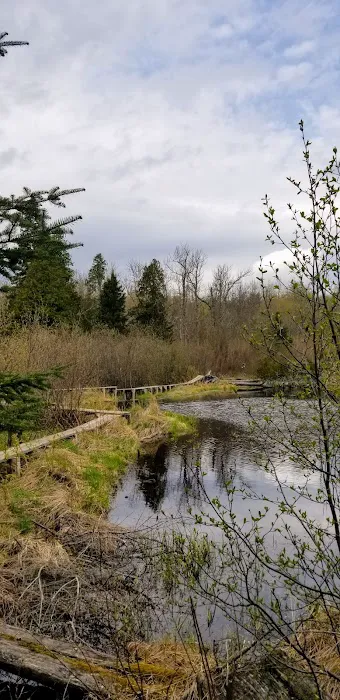 Jonvick Creek Camp Picture 2