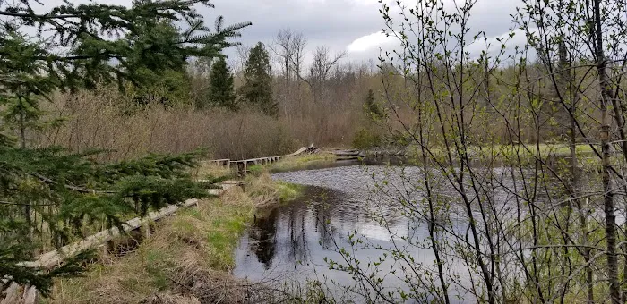 Jonvick Creek Camp Picture 4