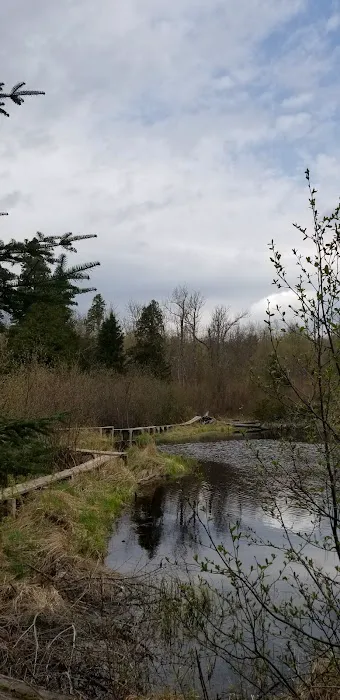 Jonvick Creek Camp Picture 3