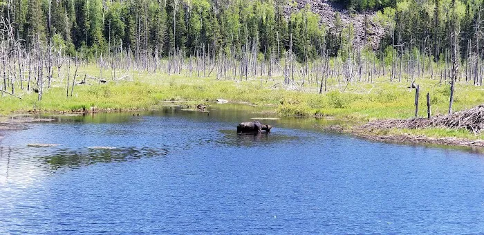 Sawbill Lake Campground Picture 6