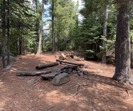 BWCA Campsite #849