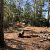 Superior National Forest Campsite #2052 ico