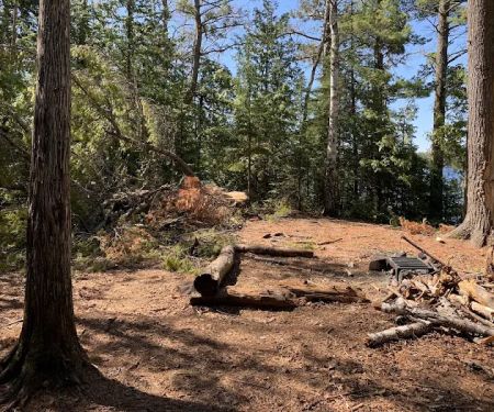 Superior National Forest Campsite #2052
