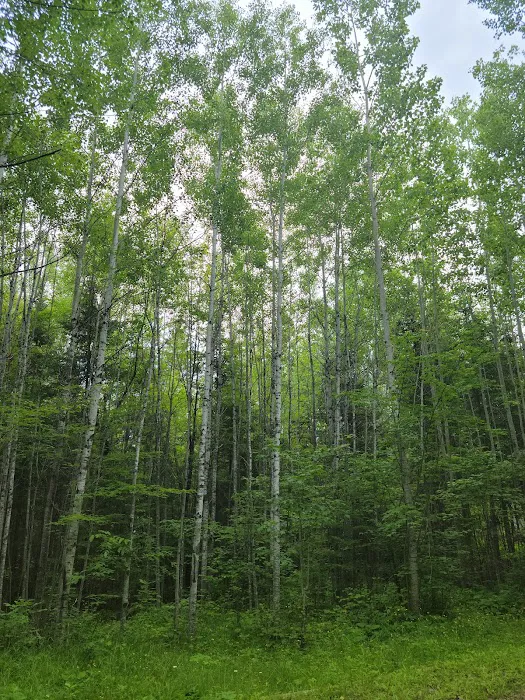 Echo Lake Campground Picture 4
