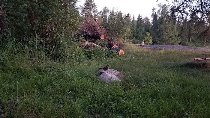 Lake Jeanette Campground & Backcountry Sites Picture 6