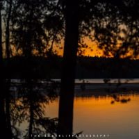 BWCA Campsite #65 ico
