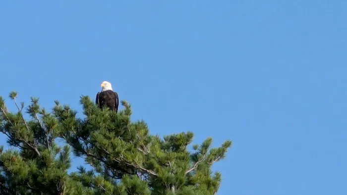 Voyageurs Sunrise Resort & Campground Picture 9