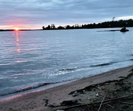 Grassy Islands South - K9 Campsite