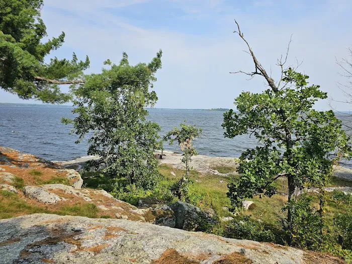 Grassy Islands South - K9 Campsite Picture 9