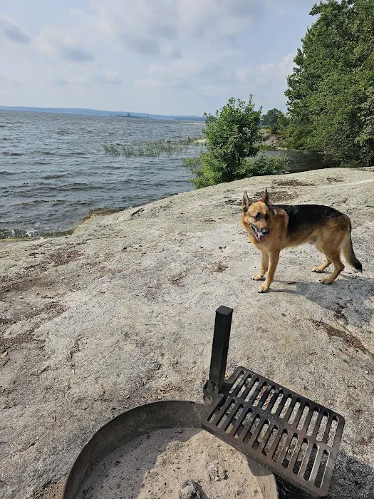 Grassy Islands South - K9 Campsite Picture 8