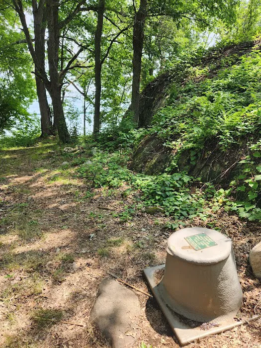 Grassy Islands South - K9 Campsite Picture 6