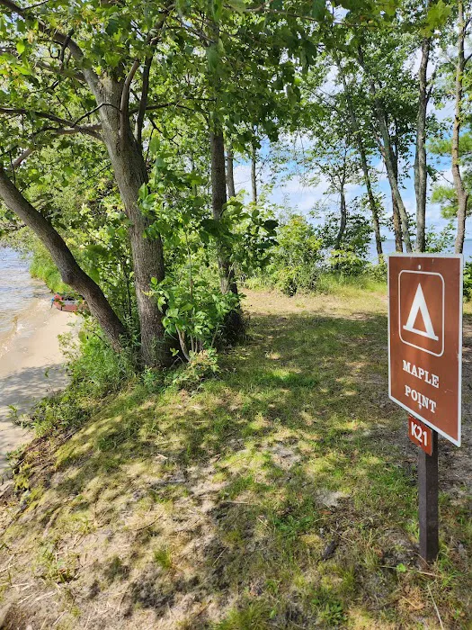 Maple Point Island, Campsite K21 Picture 7