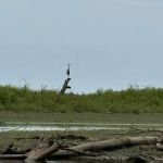 Carbolyn Park Campground