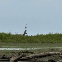 Carbolyn Park Campground ico