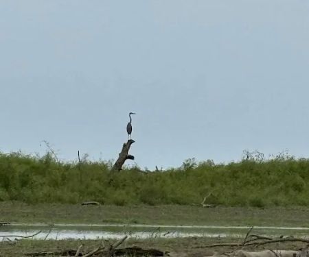 Carbolyn Park Campground