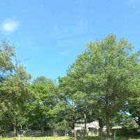 Snowdale Park ico