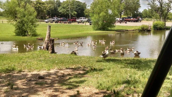 Snowdale Park Picture 4
