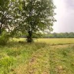 Diamond RV Resort, LLC