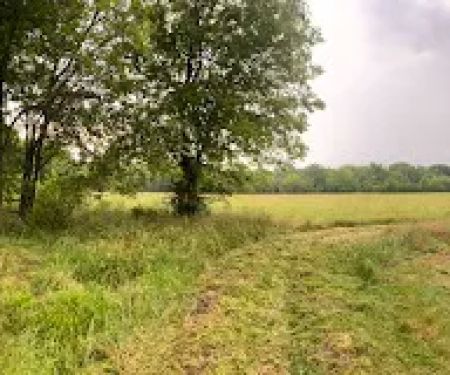 Diamond RV Resort, LLC