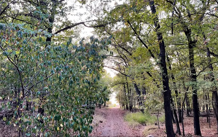 Camp Restoration Point Picture 7