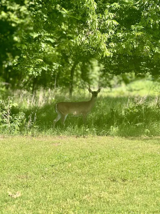 Seminole Campground Picture 8