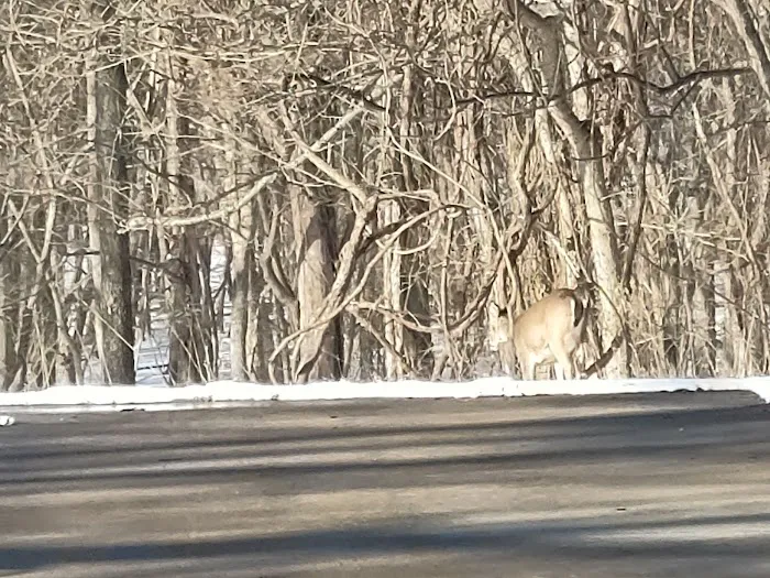 Seminole Campground Picture 10