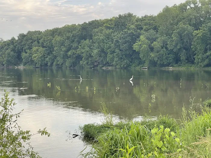 Twin Bridges Dock Picture 4